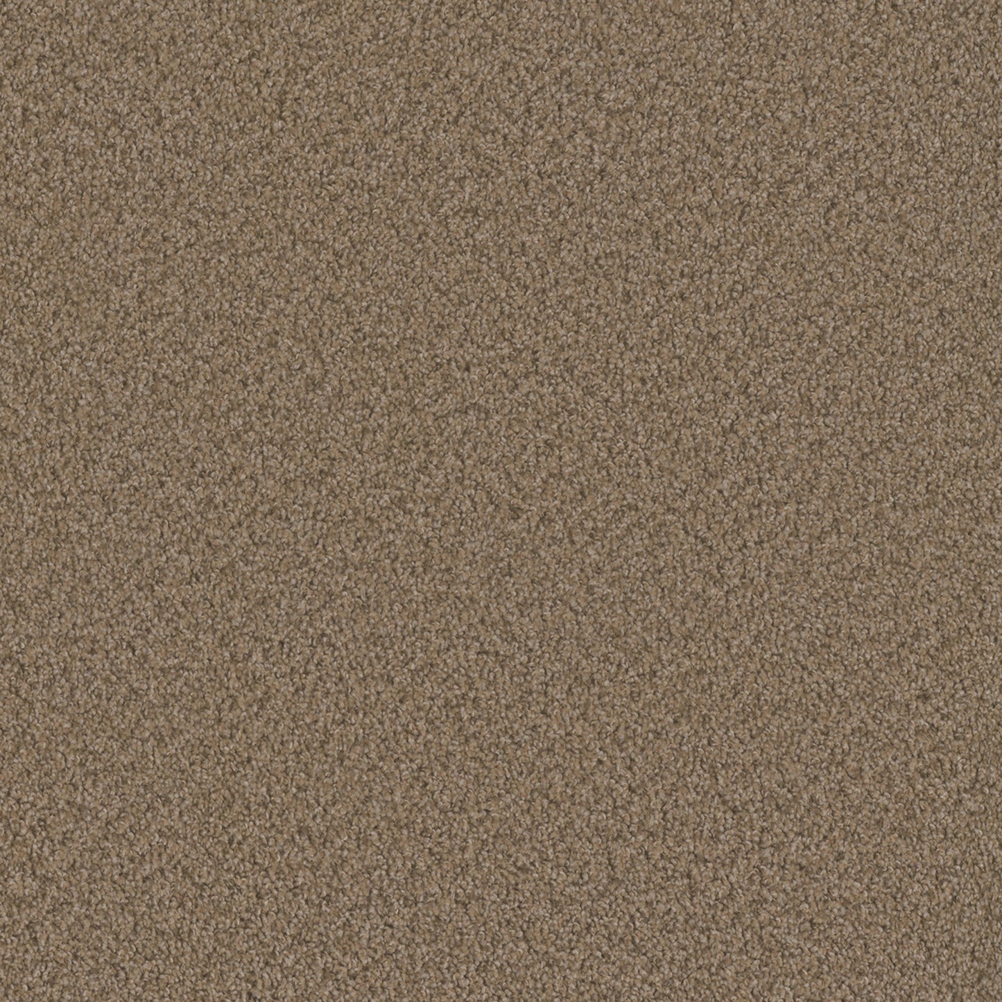 SP250