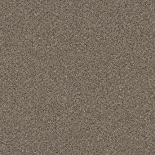 SP251 in Cinder