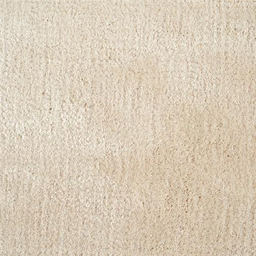 Supreme Vogue in Sand Dollar