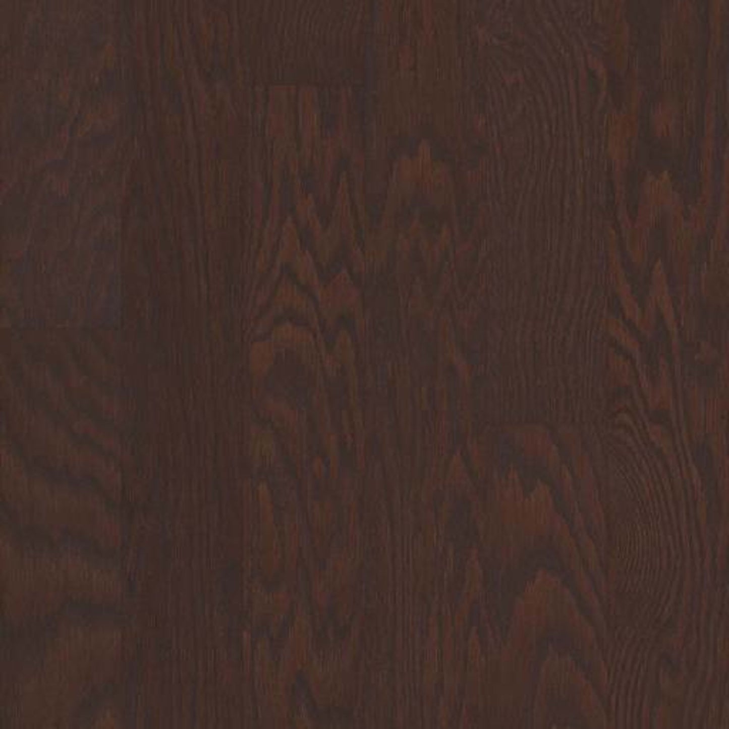 ALBRIGHT OAK 5 in Coffee Bean Hardwood