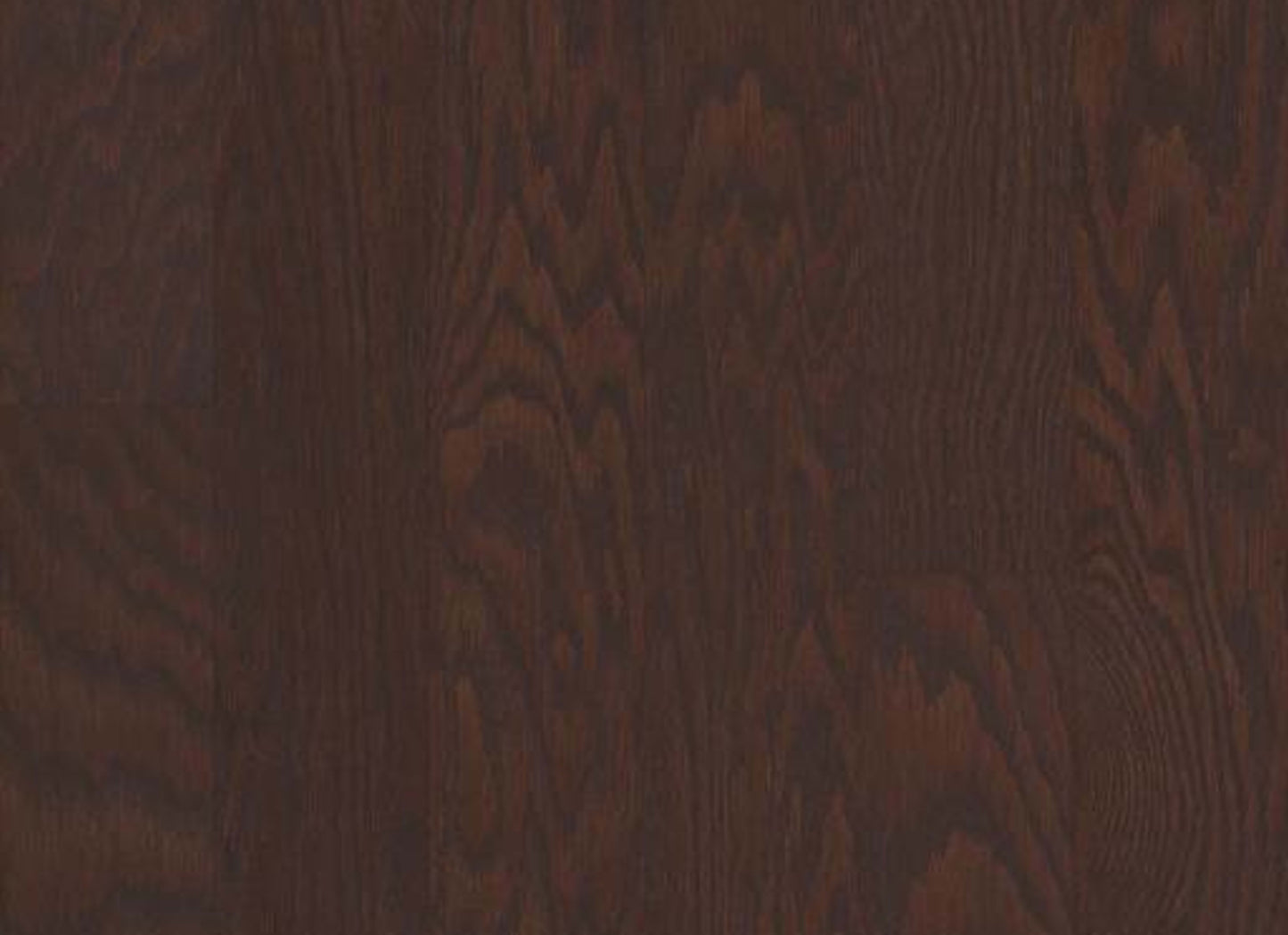 ALBRIGHT OAK 5 in Coffee Bean