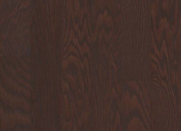ALBRIGHT OAK 5 in Coffee Bean