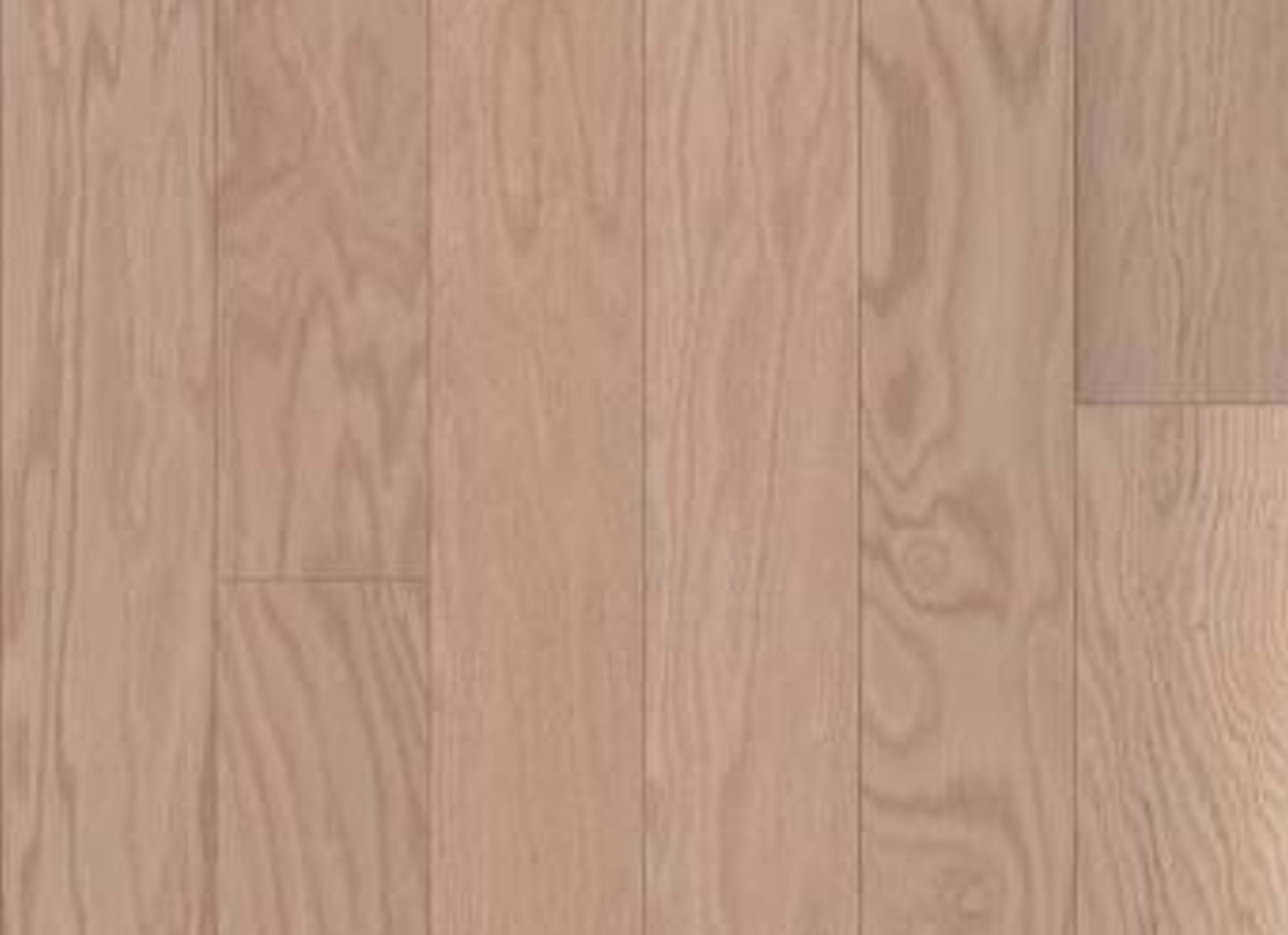 ALBRIGHT OAK 5 in Biscuit Lg