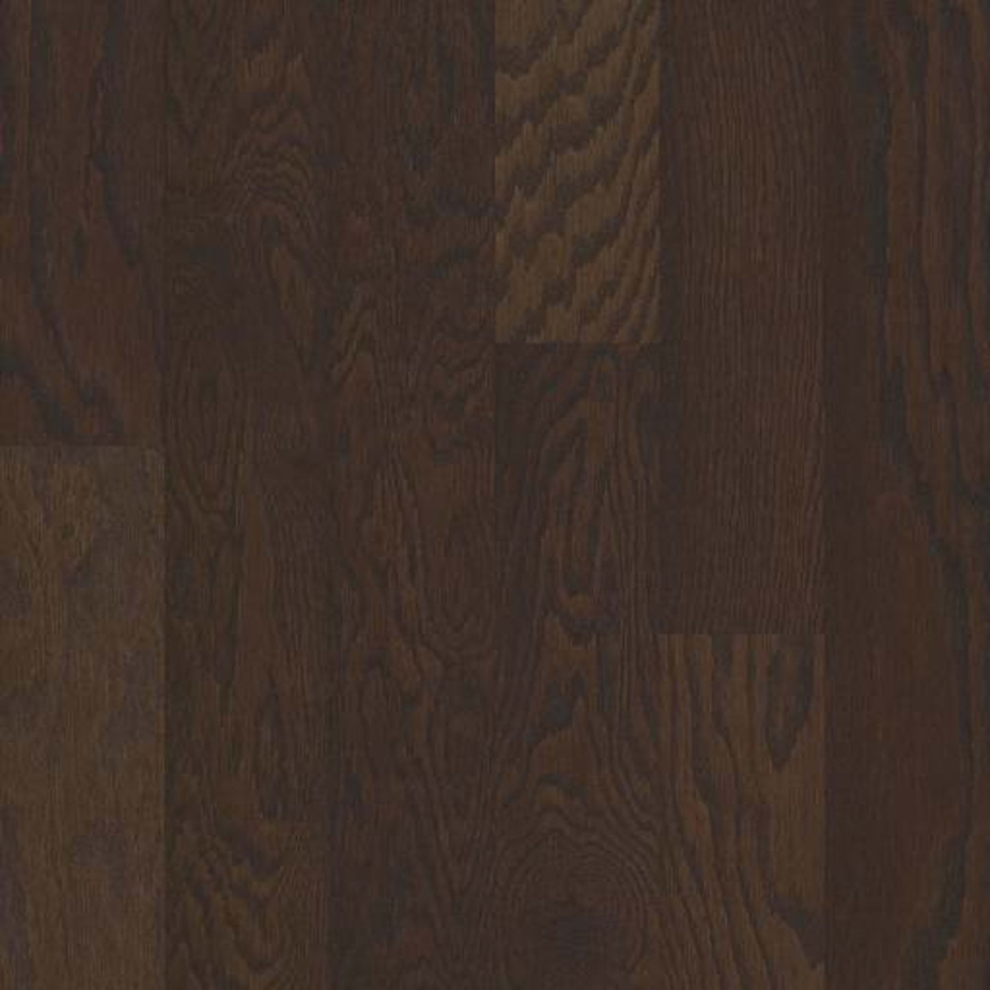 ALBRIGHT OAK 5 in Chocolate Hardwood