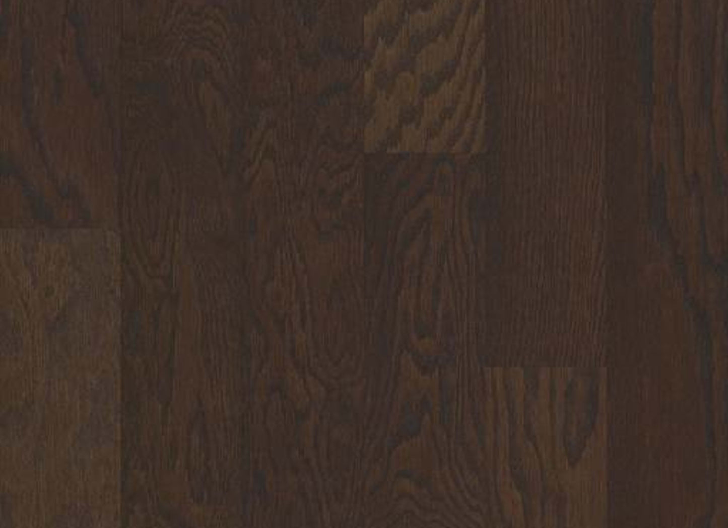 ALBRIGHT OAK 5 in Chocolate