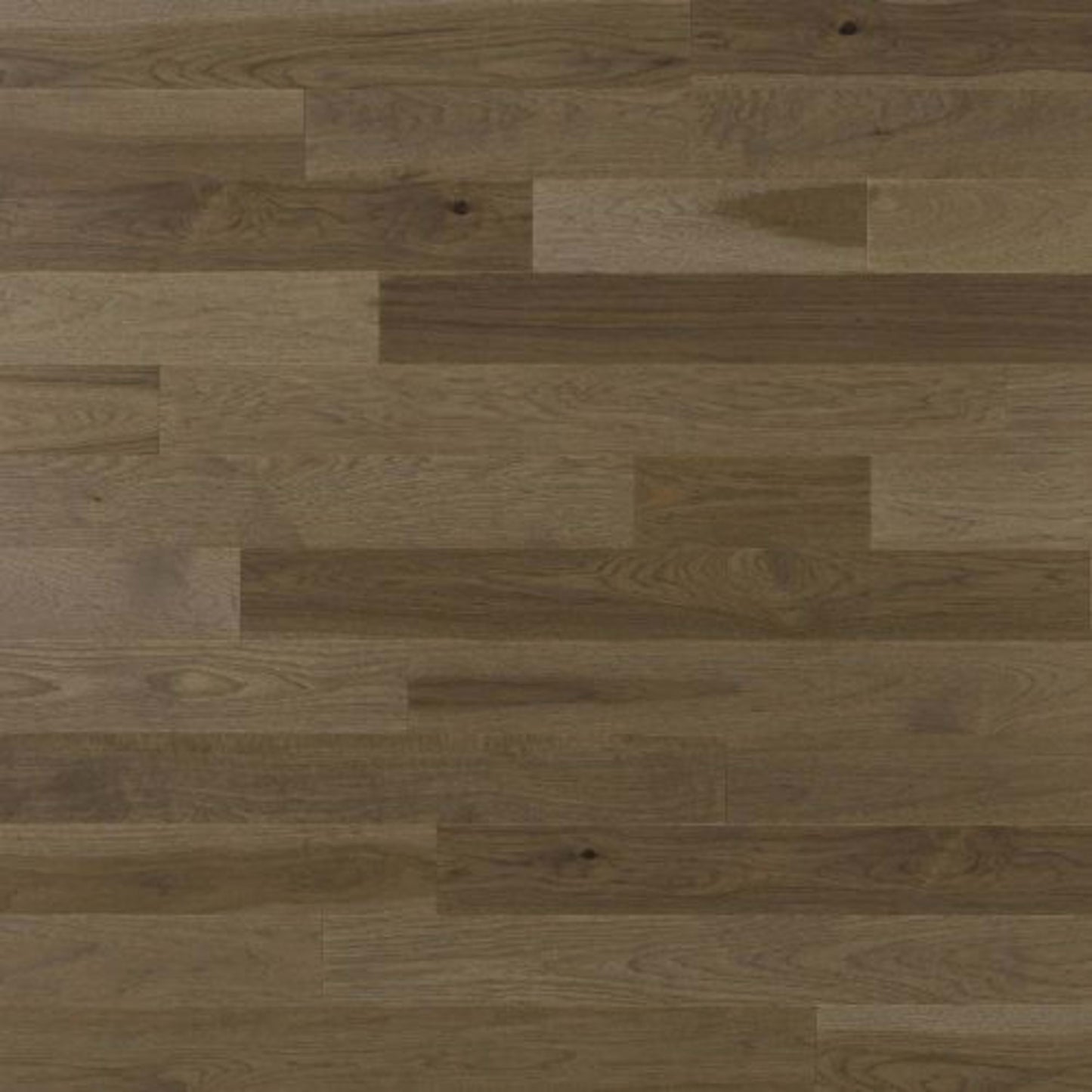 Ambiance Collection in Sabbia 5 3/16" Hardwood