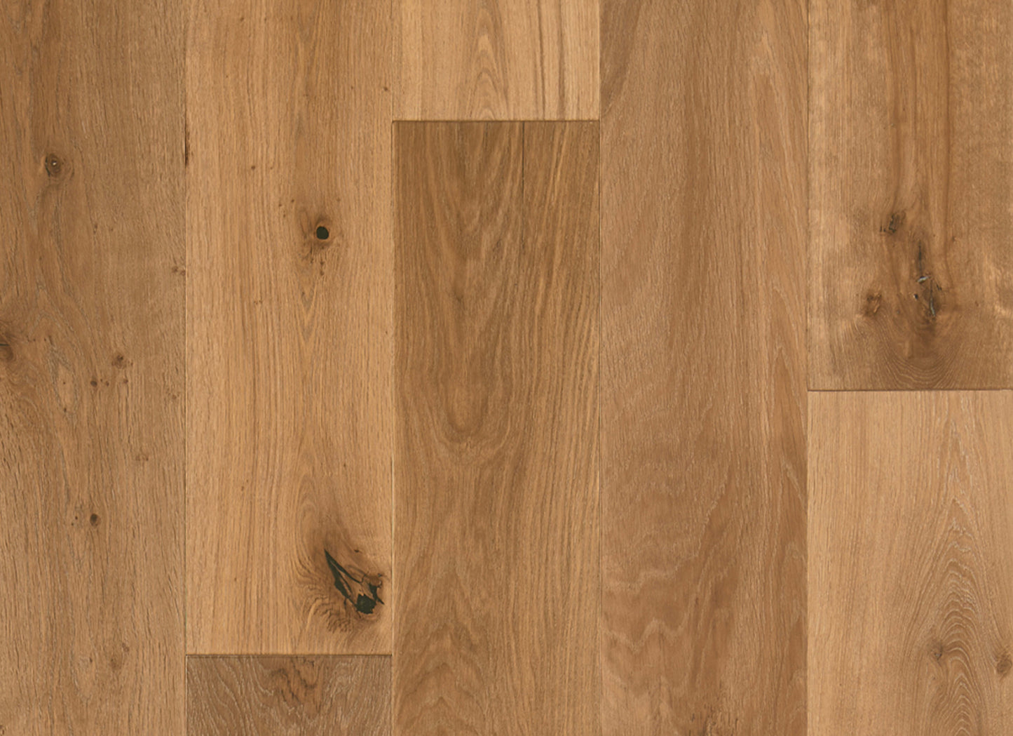 Latitude Collection - Sanctuary in Oyster
