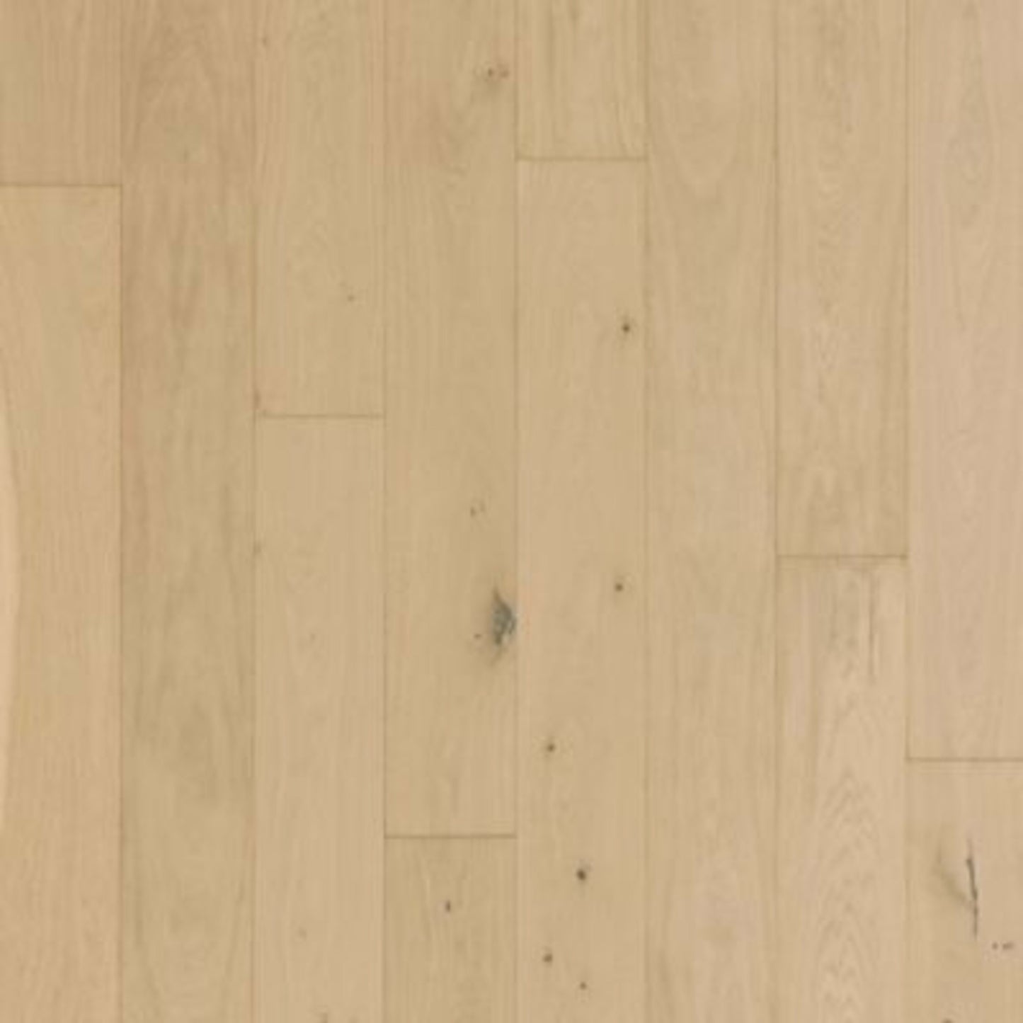 Balboa Strip in Sand Pearl Oak Hardwood