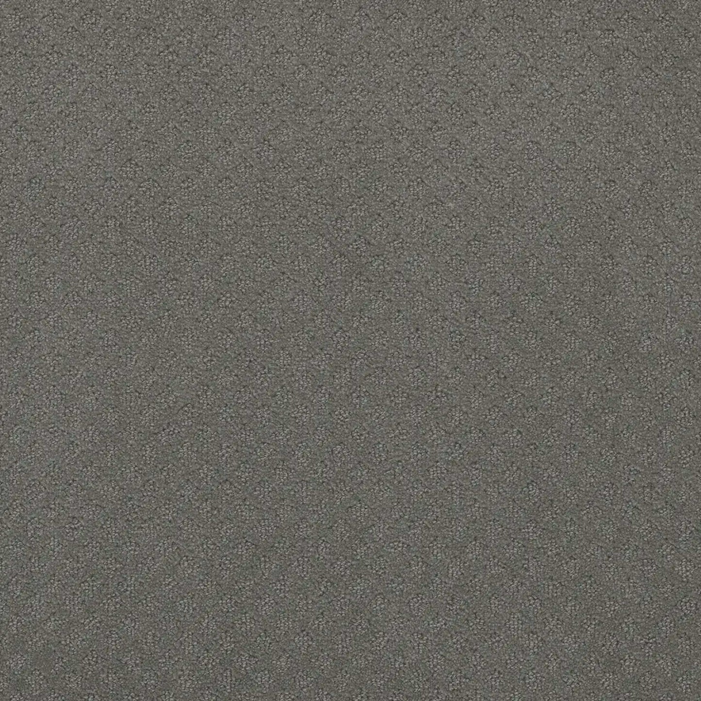 Stellar in Skyway Carpet