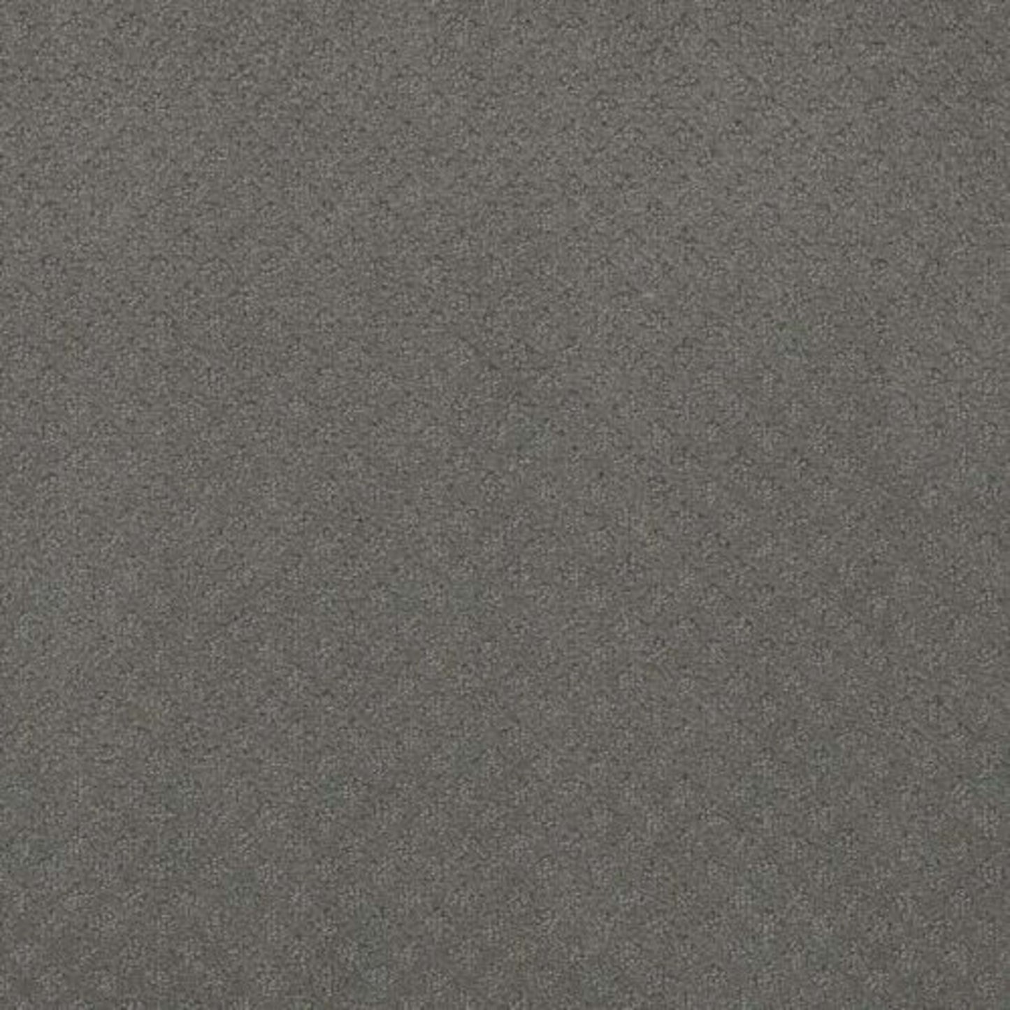 CASPIAN in Skyway Carpet