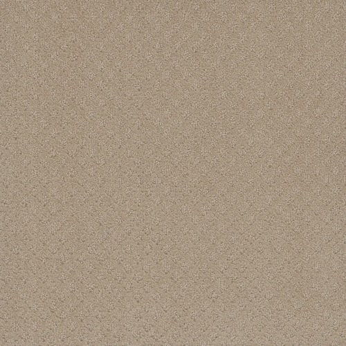 Stellar in Soft Pine