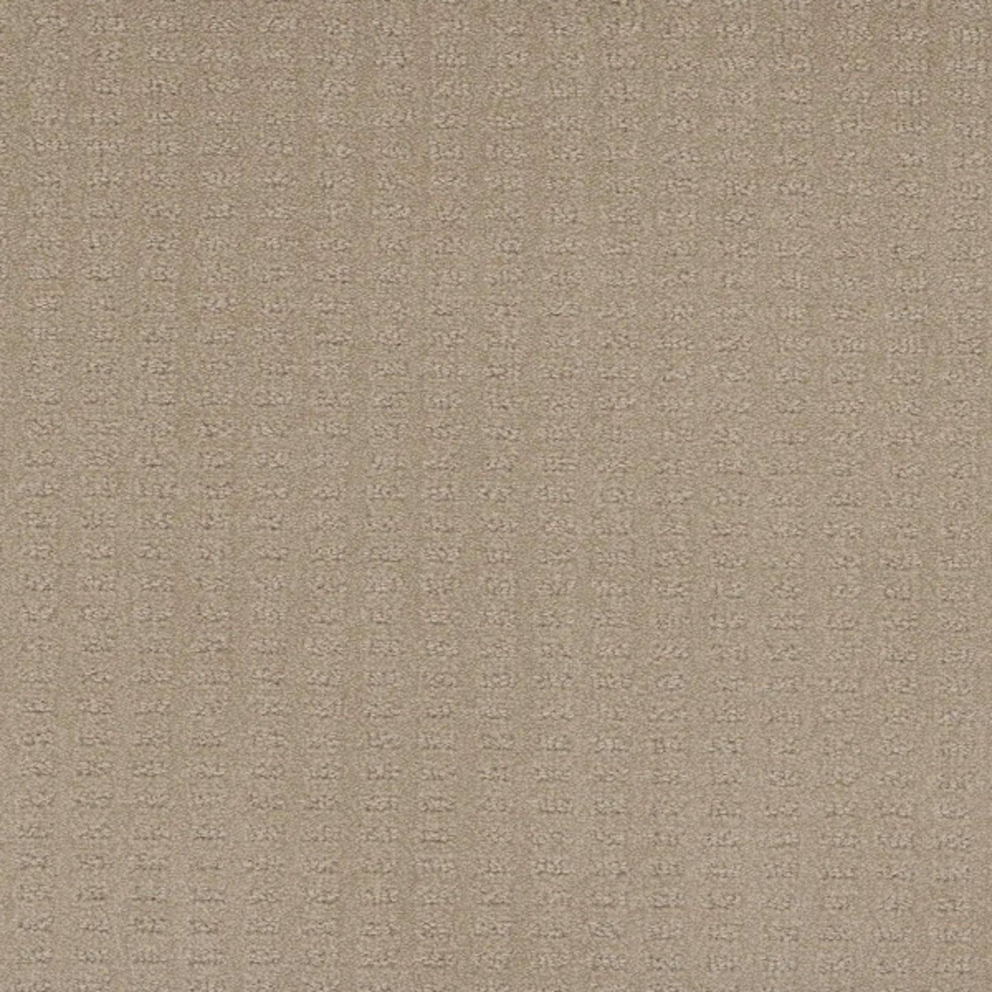 Superb in Soft Pine Carpet