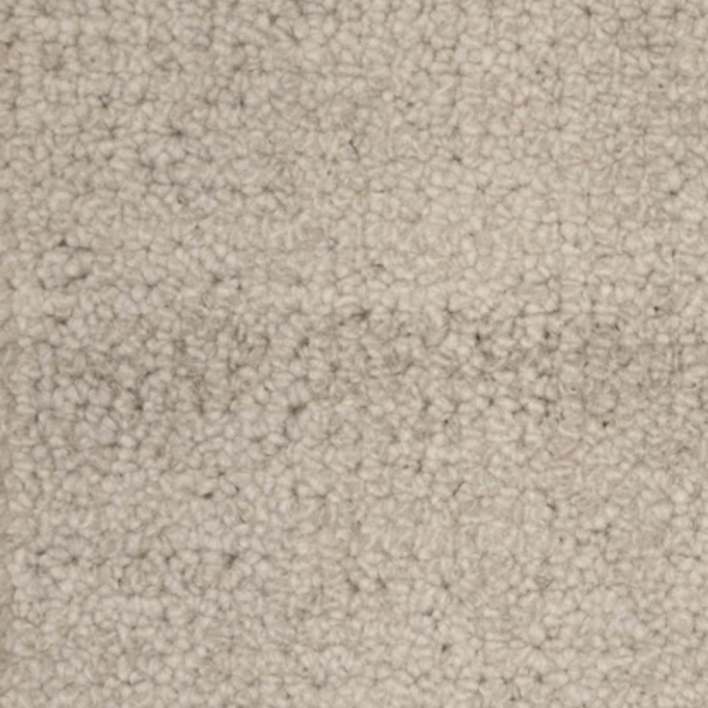 Terrain in Oatmeal Carpet