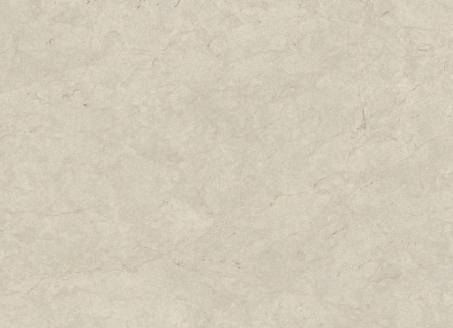 Tierra Halo in Honed 12x24