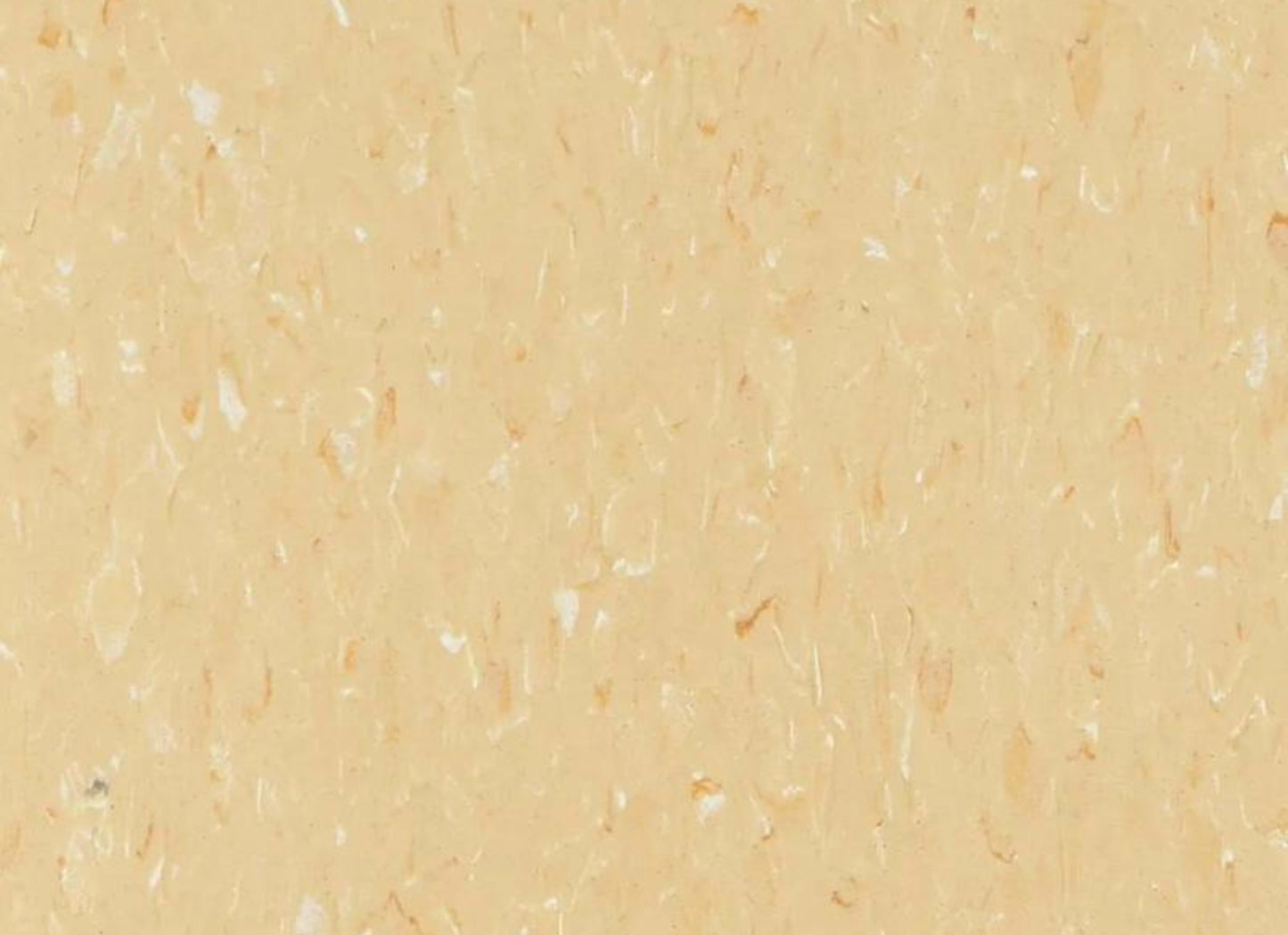 VCT II in Buttermilk