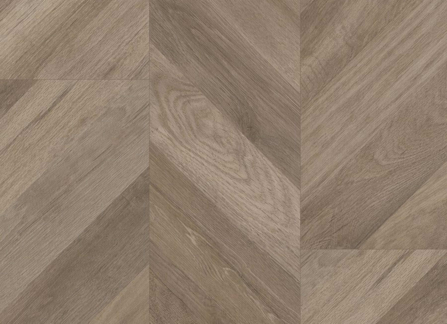 Progen in Chevron Tawny