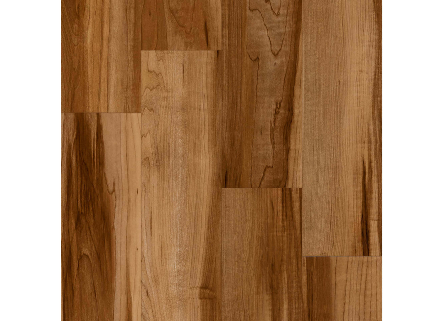 Progen in Rock Maple Medio