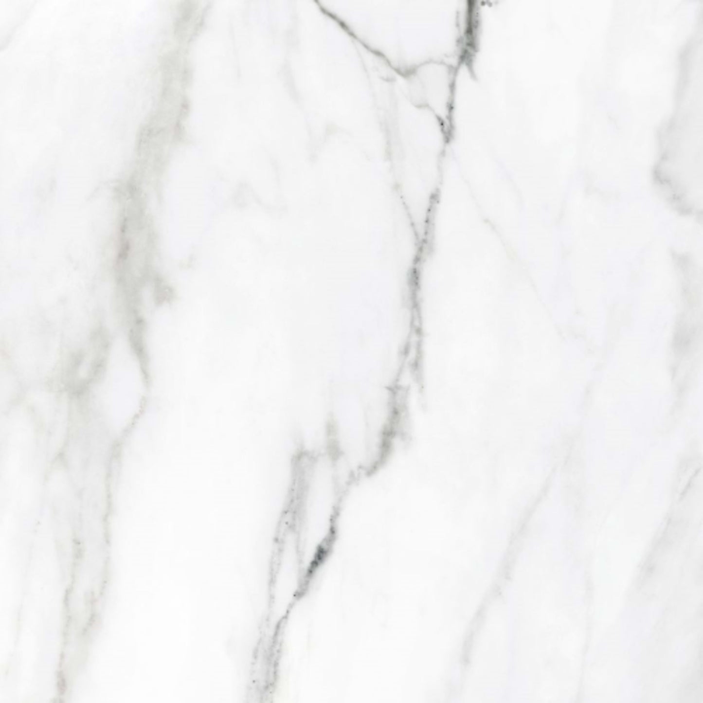 Statuary Collection in White Unpolished 13" X 13" Tile