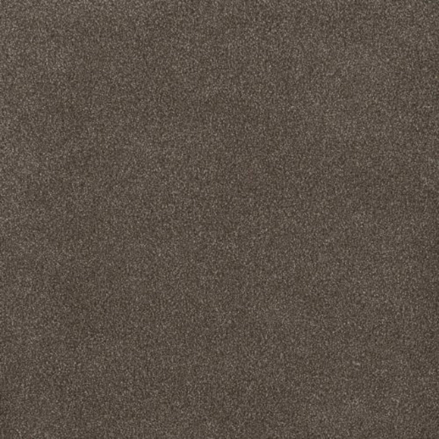PALMETTO III in Tea Time Carpet