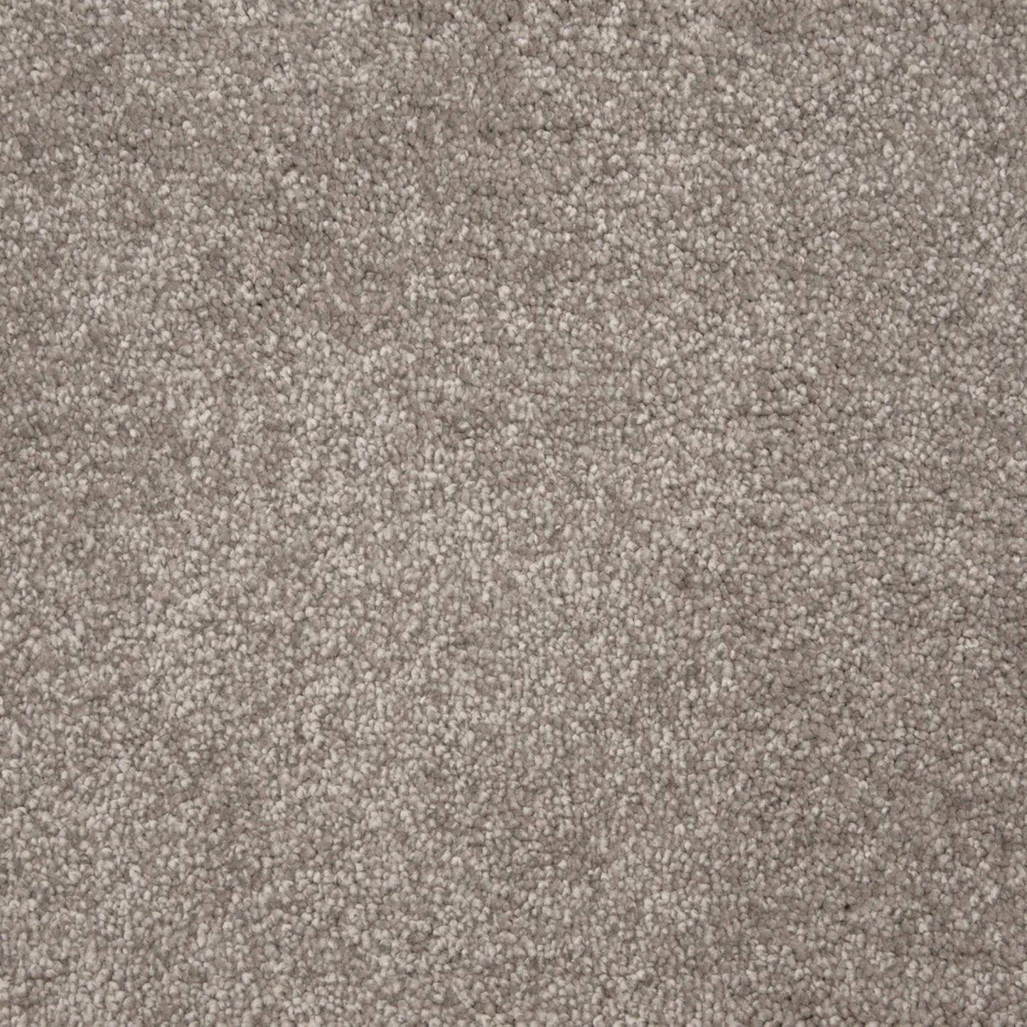 Throne in Metal Carpet