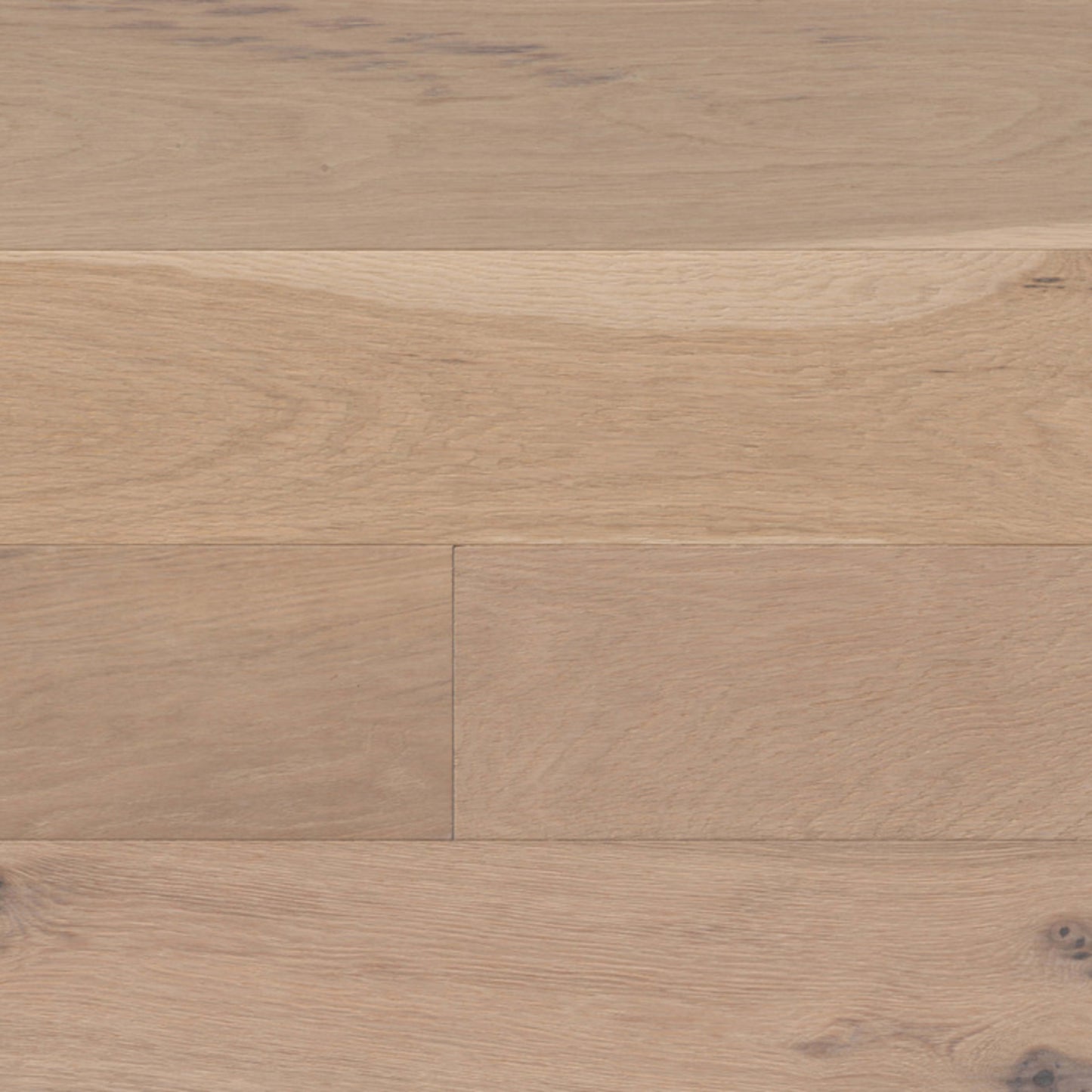 Adelaide in Torrens Hardwood