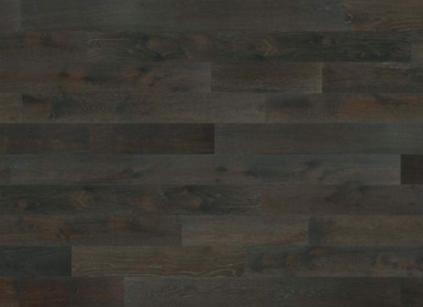 Designer Collection in Tribeca