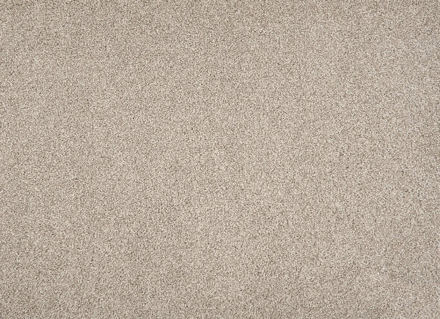 Tristan Plush II