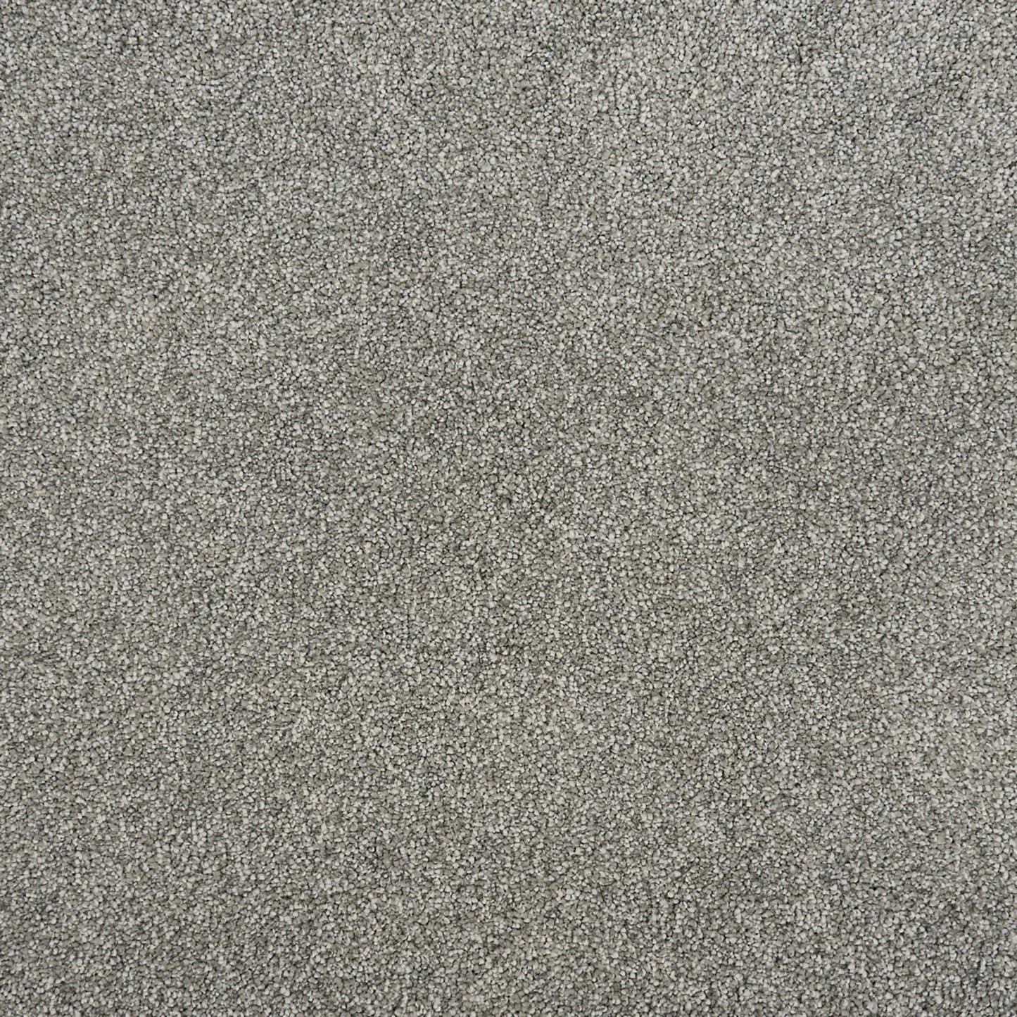 Tristan Plush I in Slate Carpet