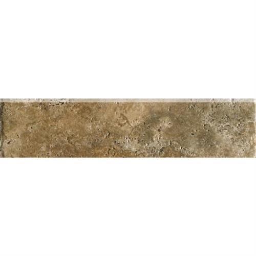 Archaeology in Chaco Canyon - 3x13 Bullnose Tile