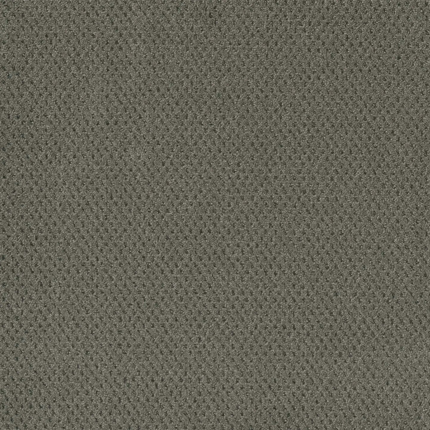 Prime in Ultramarine Carpet