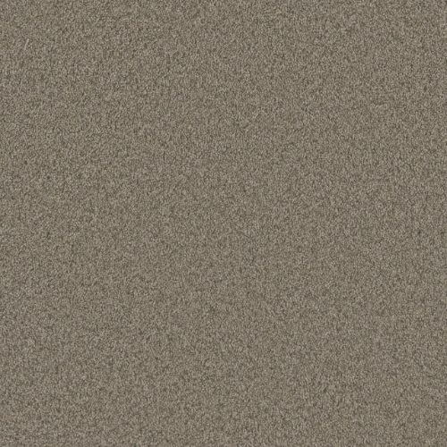 BLAZER II in Umber