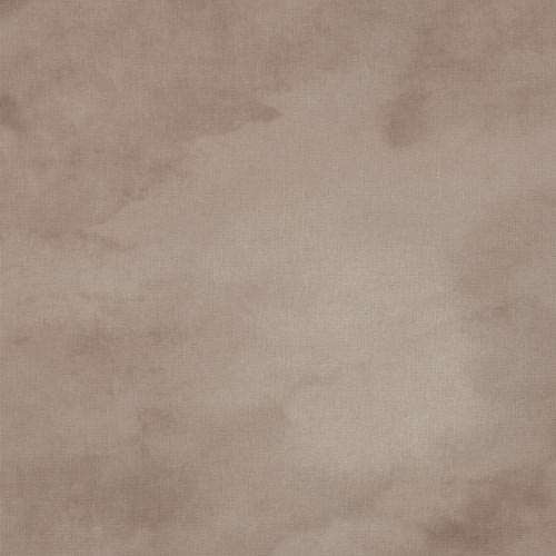 Cumulus in Horizon