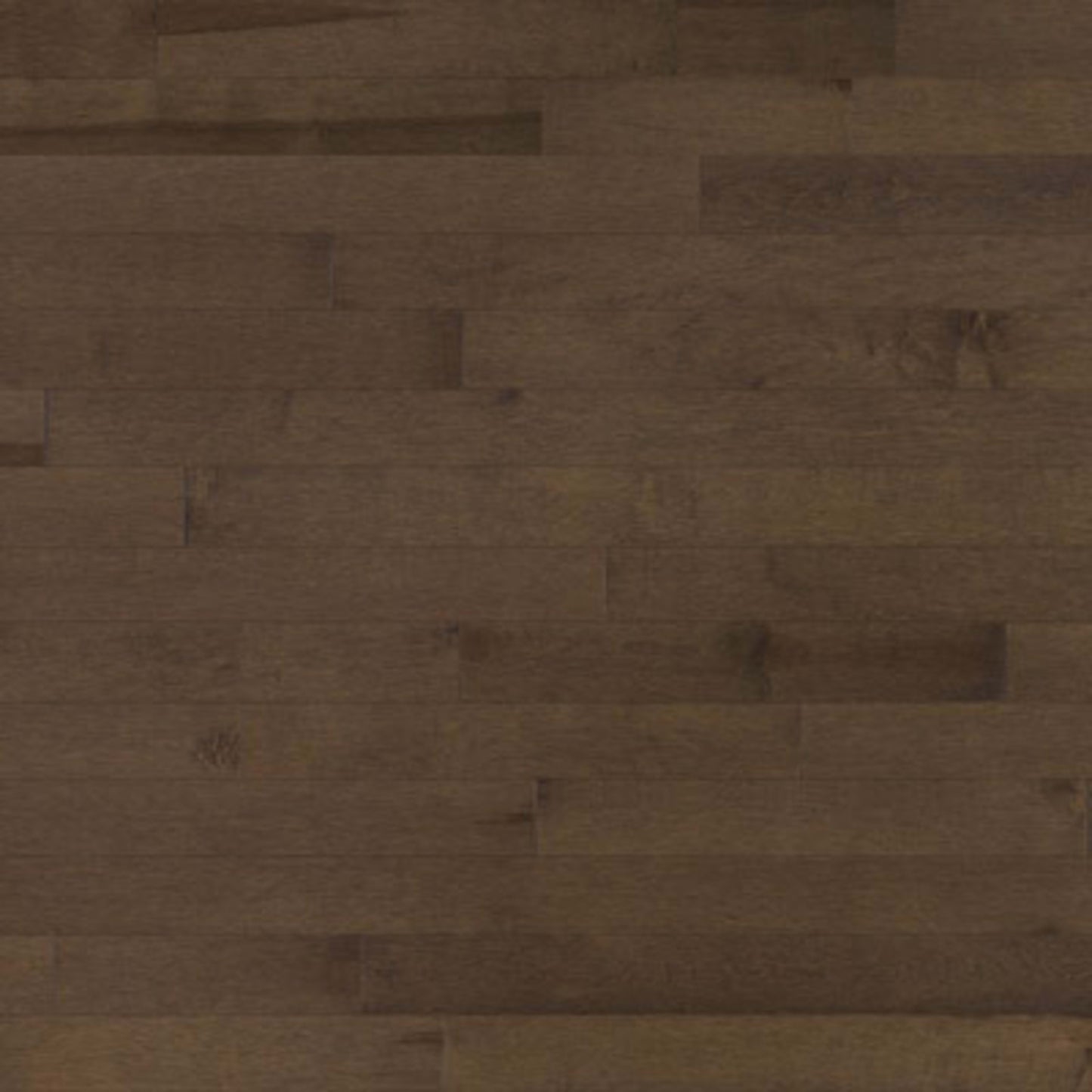 Vancouver in Beaver Tail Hardwood