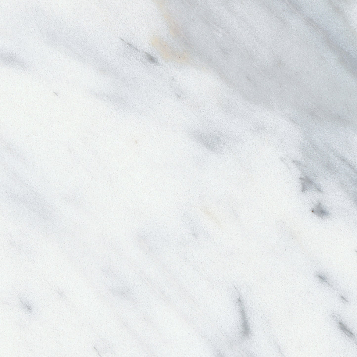 Virtue Bianco in Honed 3x12 Natural Stone
