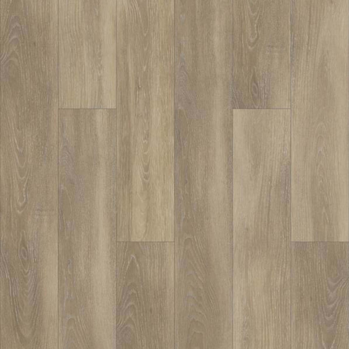 LAZIO PLUS in Vieste Luxury Vinyl