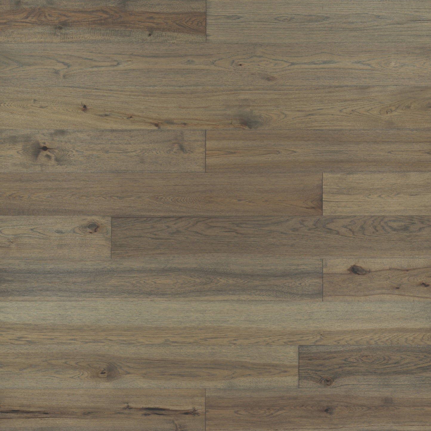 Ventura Hardwood in Hampton Hardwood