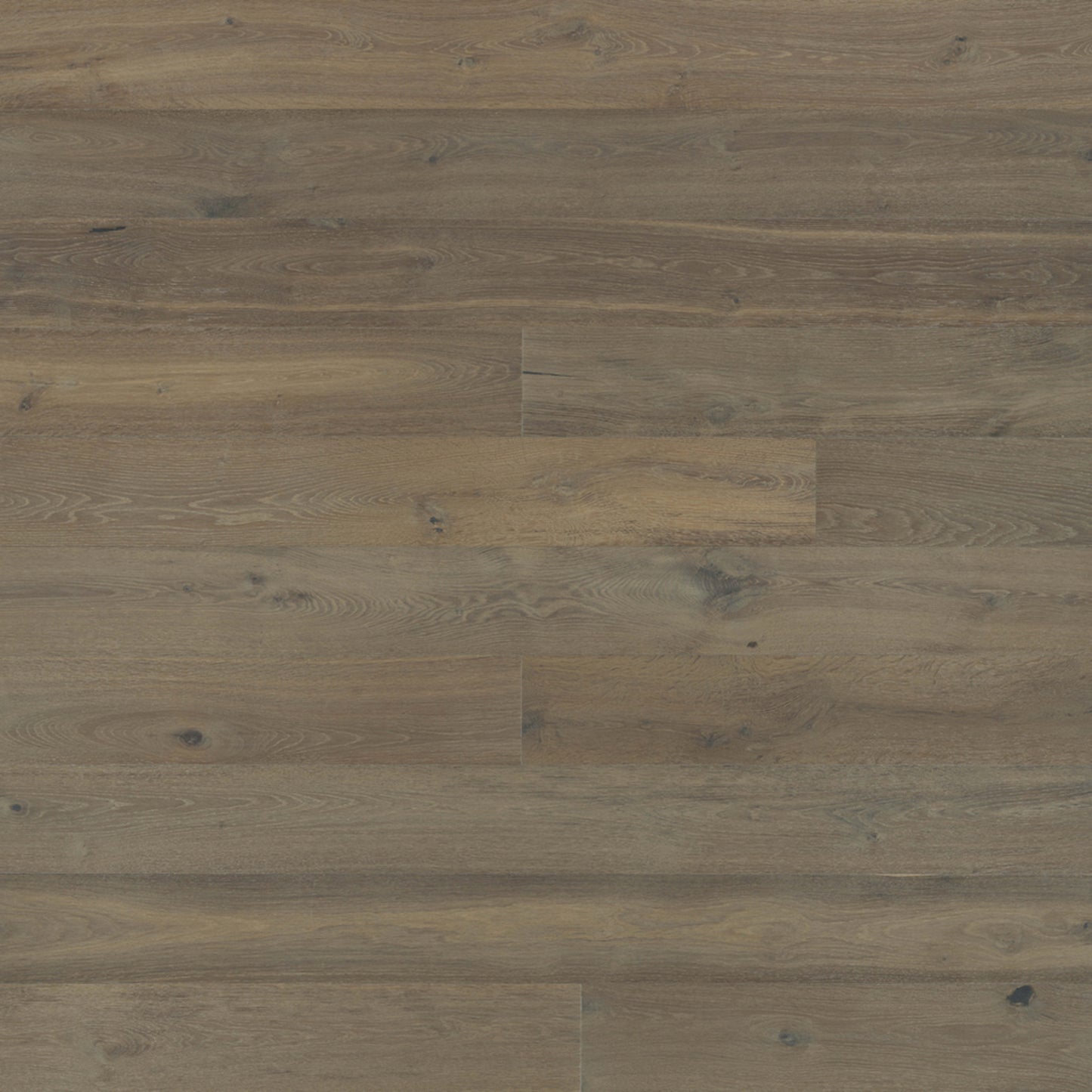 Ventura Hardwood in Wharf Hardwood