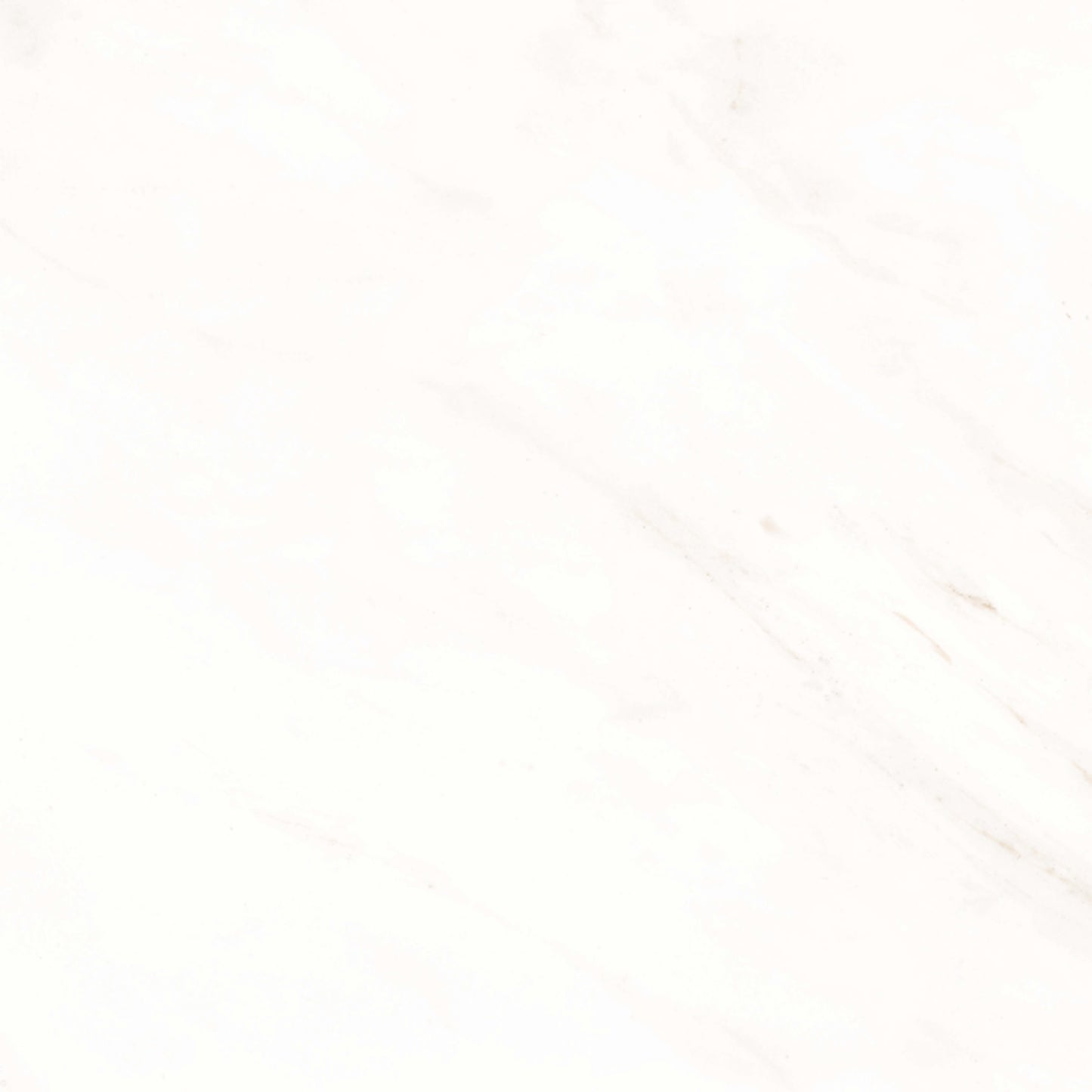 Frost in Snow 12x24 Matte Tile