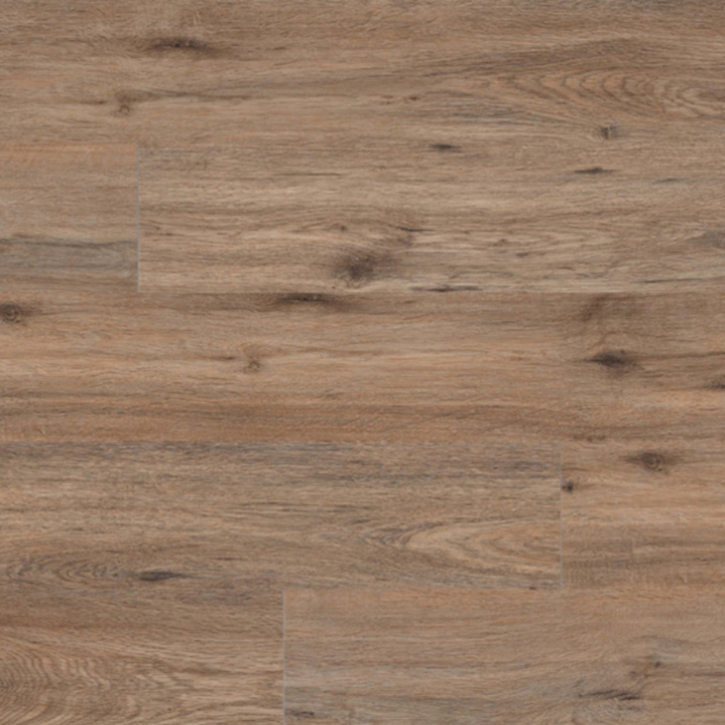Cyrus 2.0 in Fauna Luxury Vinyl