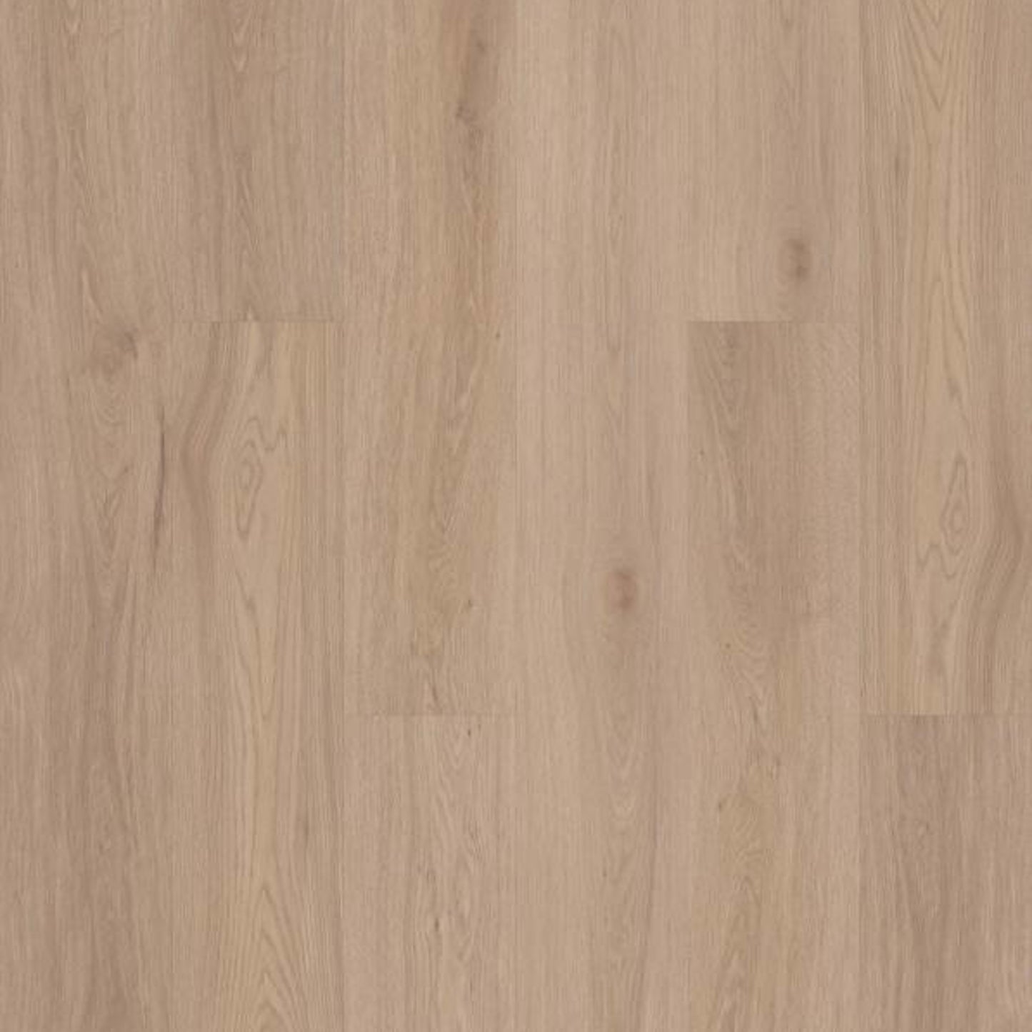 CORETEC PRO CLASSICS VV017 in Springfield Oak Luxury Vinyl