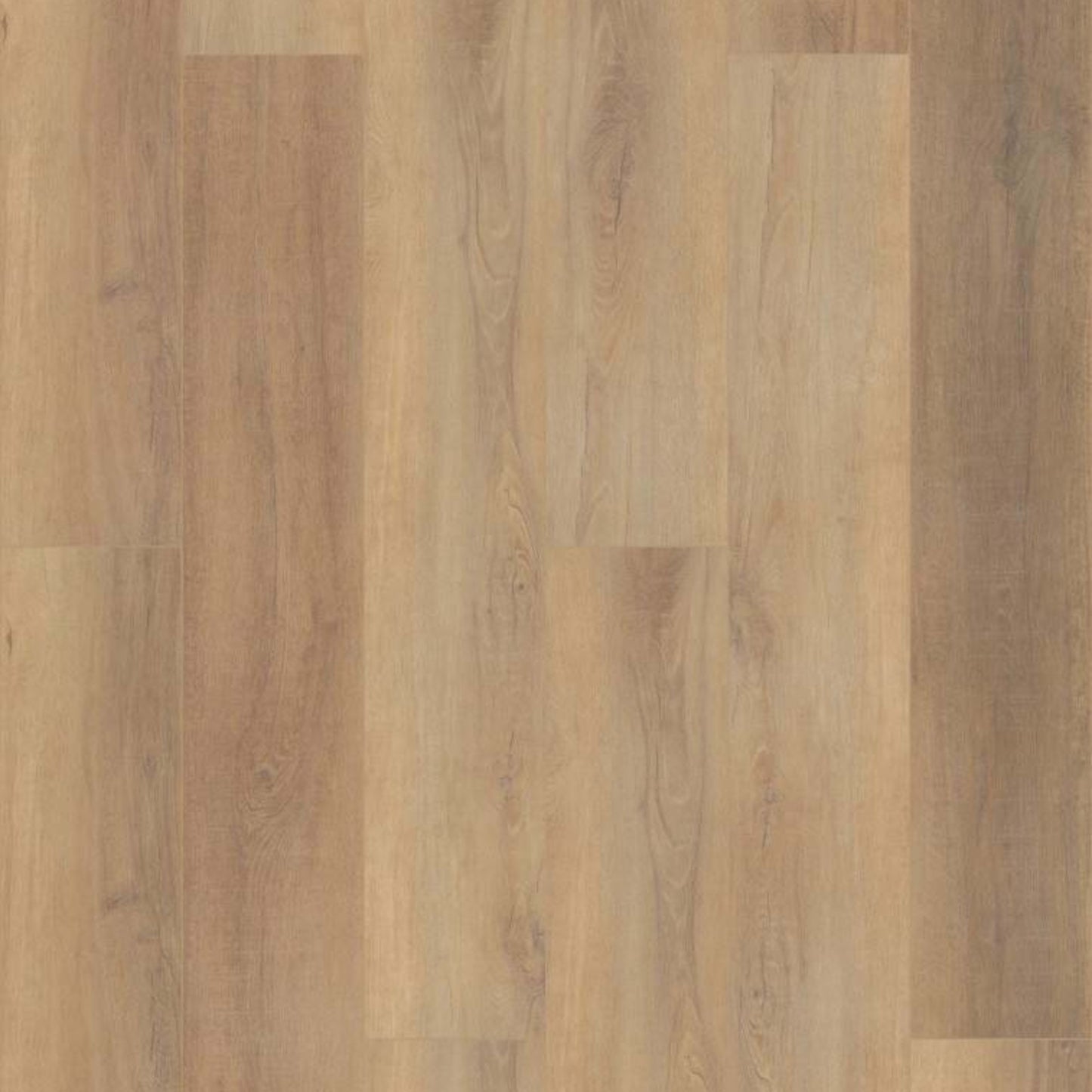 CORETEC PRO ENHANCED VV488 in Canterbury Elm Luxury Vinyl