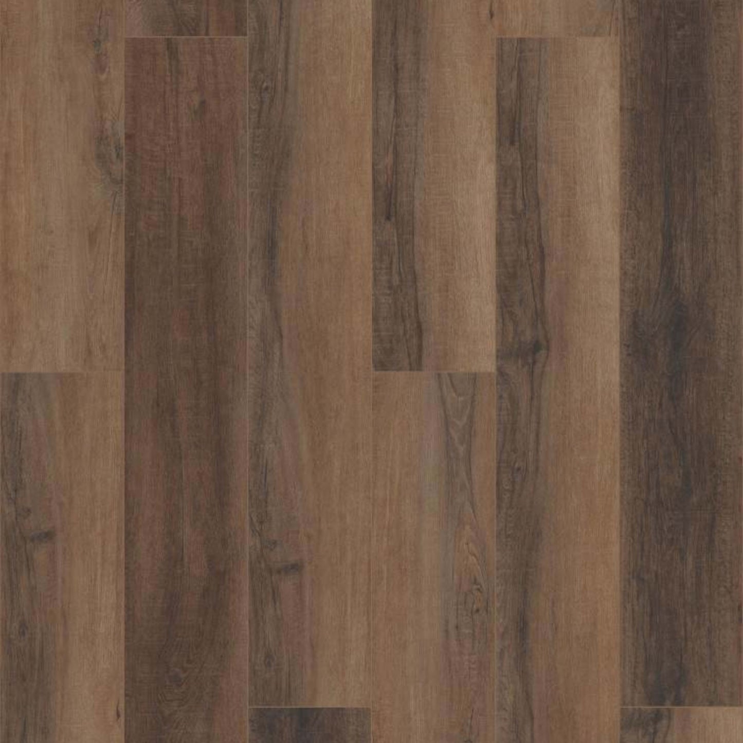 CORETEC PRO ENHANCED VV488 in Cheshire Elm Luxury Vinyl