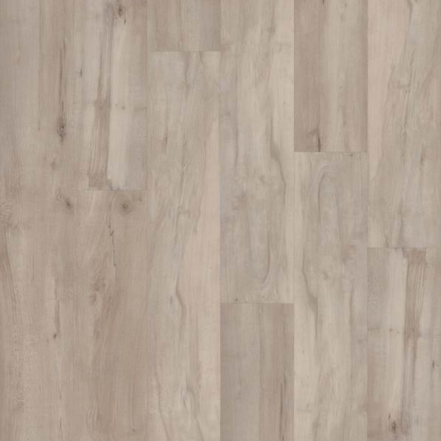 CORETEC PRO PREMIUM VV800 in Lawrence Maple Luxury Vinyl