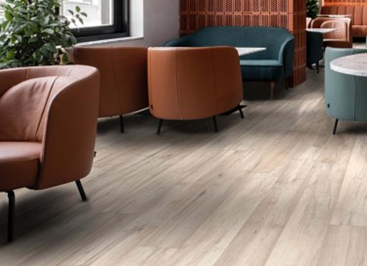 CORETEC PRO PREMIUM VV800 in Lawrence Maple