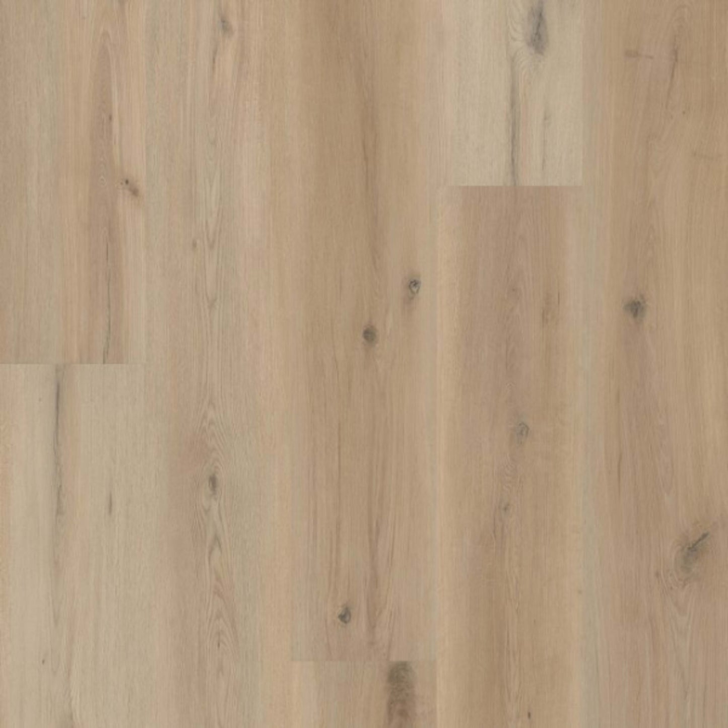 COREtec Originals Premium VV810 in Sea Salt Oak Luxury Vinyl