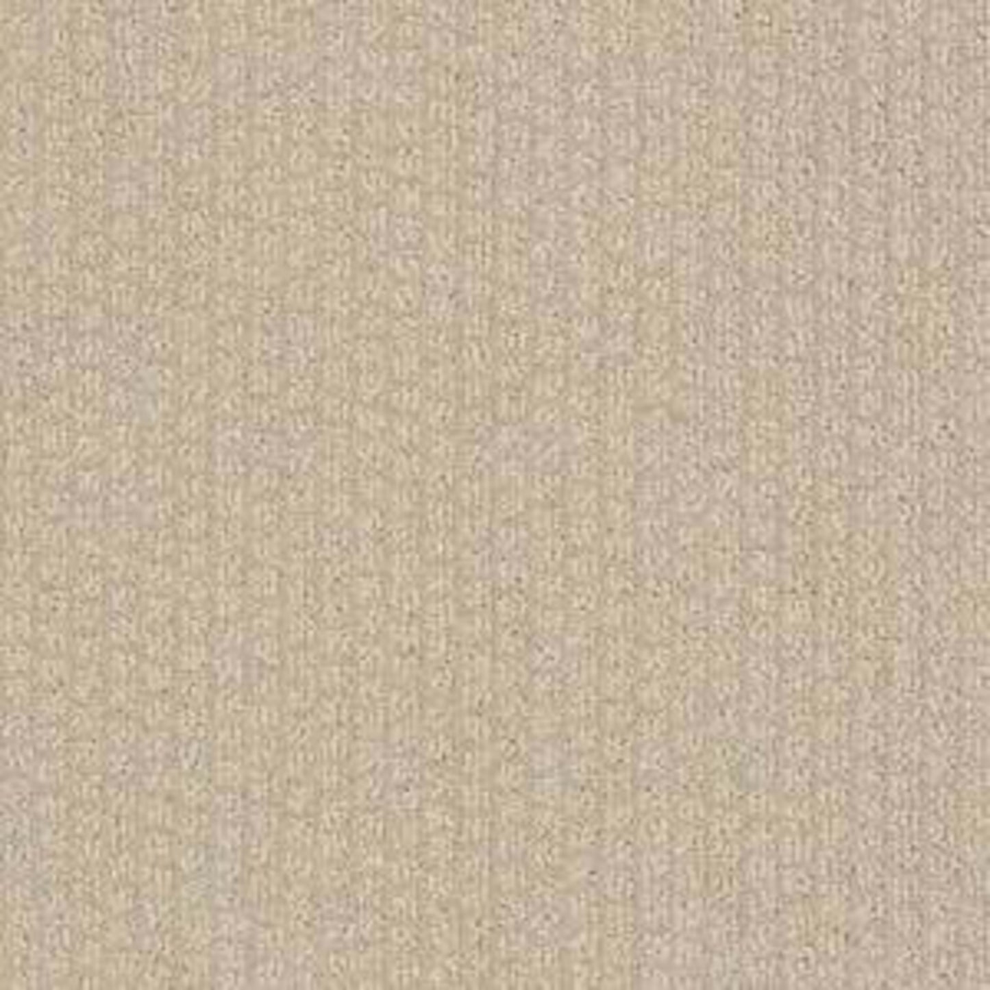 XV988 in Dunes Carpet