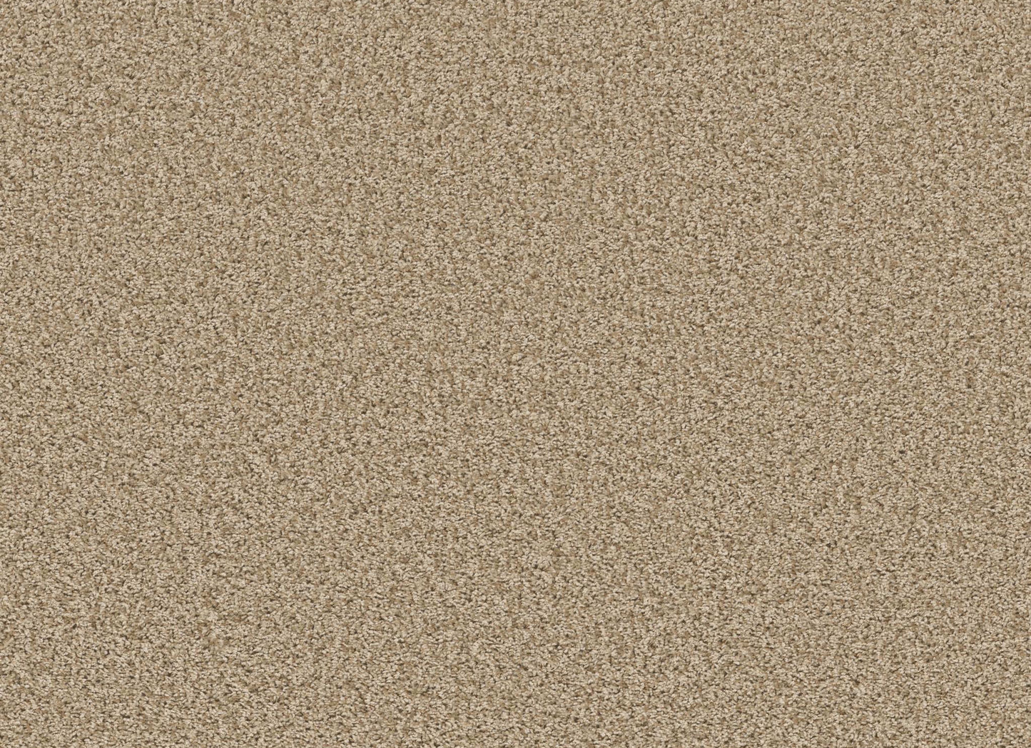 XV994