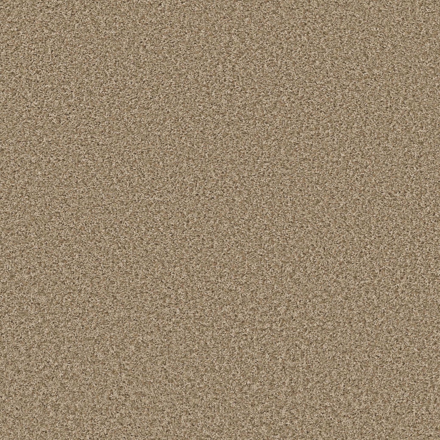 XV994