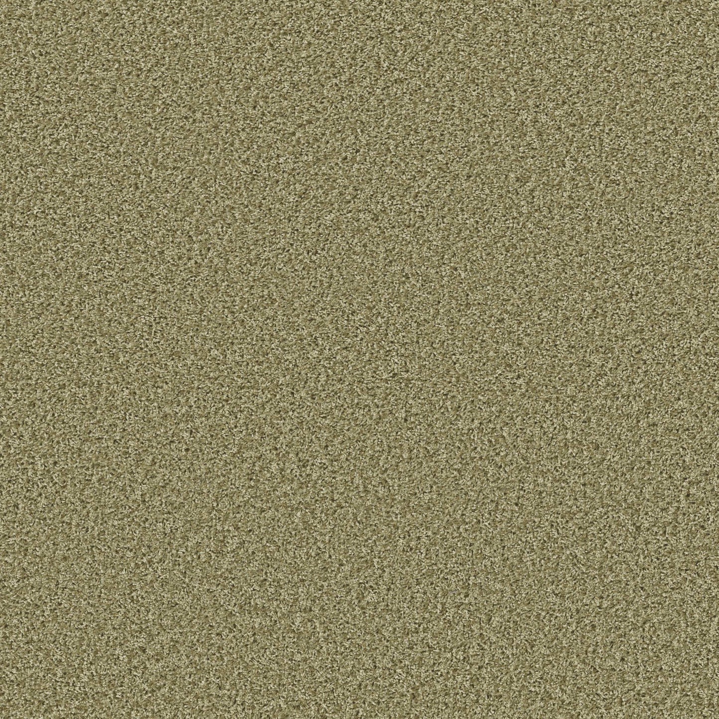 XV994