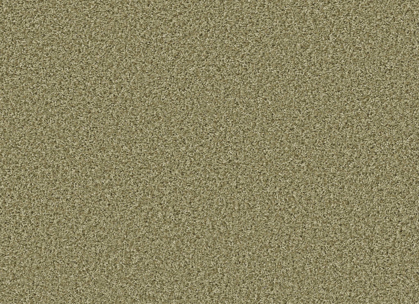 XV994
